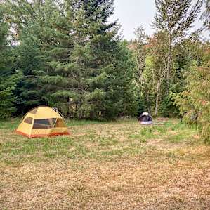 Field in front of site #2, which is tucked in trees along creek (there’s also a field to the left of pic in front of site #1, which is also tucked in trees along creek).