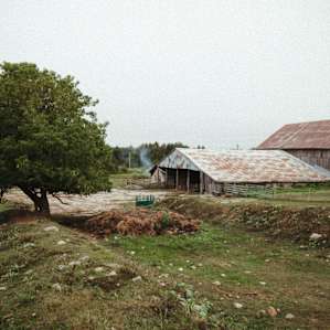 A nice view from the cow field of the farm, felt like being in the English countryside.