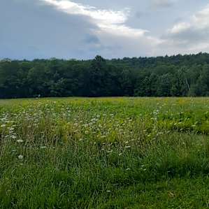 Hidden Meadow Tent Site