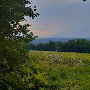 Hidden Meadow Tent Site