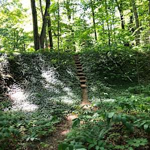 Photo of Cozy UP Sunset Cabin - Bear Lake Meets da Yellow Dog (30)