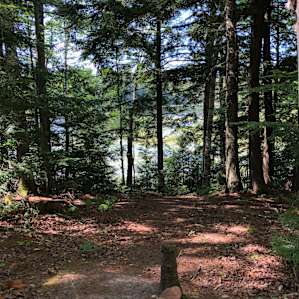 Photo of Cozy UP Sunset Cabin - Bear Lake Meets da Yellow Dog (31)