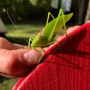 We made a friend!