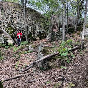 Beautiful Frontenac Arch rock formations throughout Mill Creek trail.