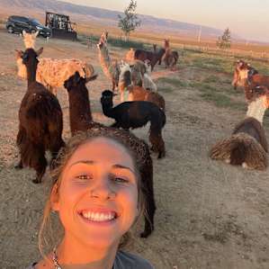 Llama and alpaca ranch