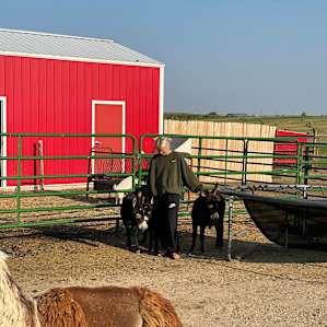 Llama and alpaca ranch