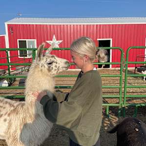 Llama and alpaca ranch
