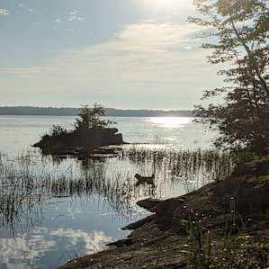 'Final Campfire' Camp Site