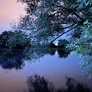 Nature's Nook