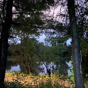 Nature's Nook