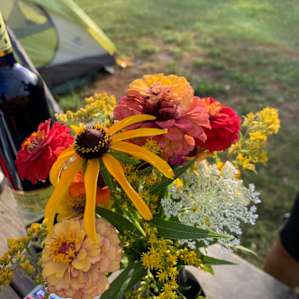 wildflowers and flowers from Kara's garden