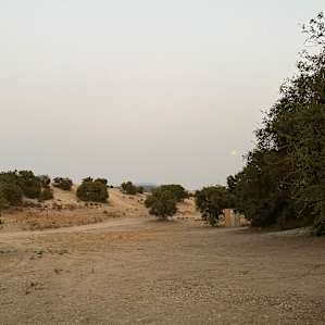 Hideaway Oaks
