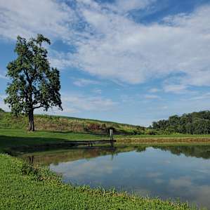 Views of woods, pond, and sunrise