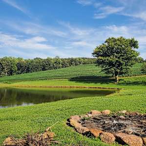 Views of woods, pond, and sunrise