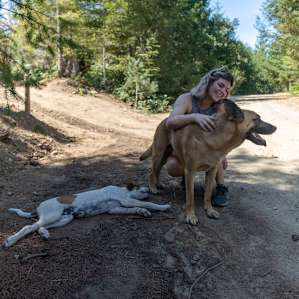 Puppy Finnegan and Big Boy Ferguson are the resident pooches and very lovely dogs.
