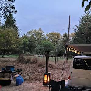 Timber Pellet Fireplace