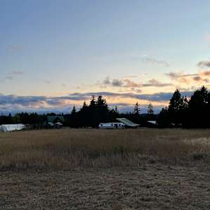 Evening sunsets