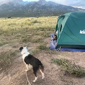 Wizards 420 Friendly Camp