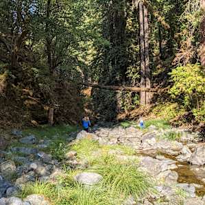 Redwood Terrace