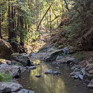 Redwood Terrace