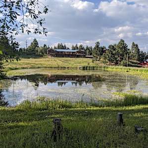 The pond in front of the neighbo