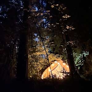 Secret Sanctuary