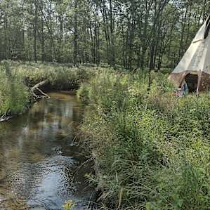 Otter Lodge : Wilderness Tipi