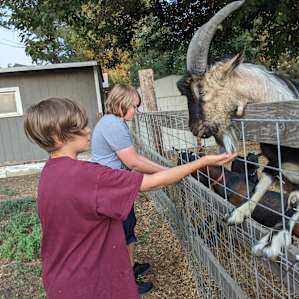 JenEric Alpaca Ranch