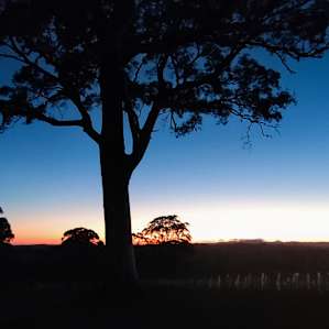 The Vineyard at Hay Valley