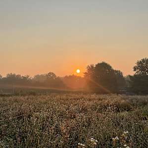 Meadow Camping