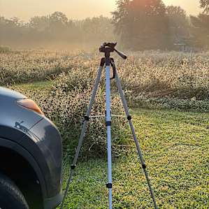 Meadow Camping