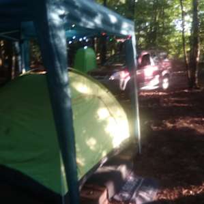 Deer Forest Hideaway