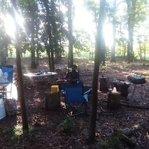 Deer Forest Hideaway