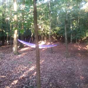 Deer Forest Hideaway