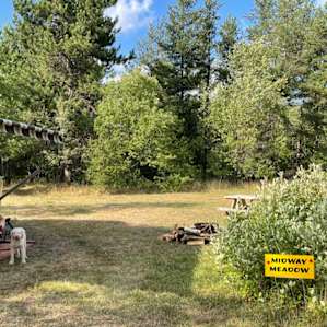 Midway Meadow