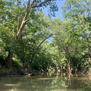 Frisbee Field on the Chaplin River