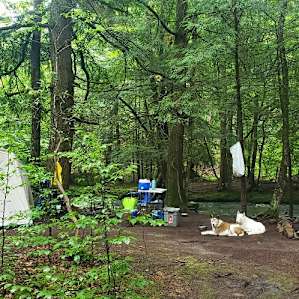 Taino Woods River Sites Only