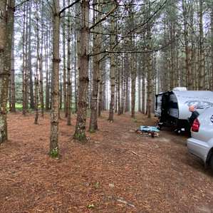 Sway Forest Private Camp