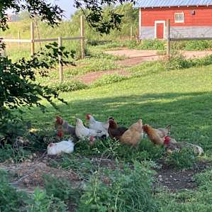 The Good Earth Farm RV Site