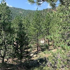 Frontier Tent Glamping, Bliss Camp