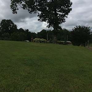 Piedmont Bison Ranch