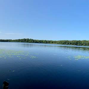 Bob Lake #3 - Waterfront Eagle View