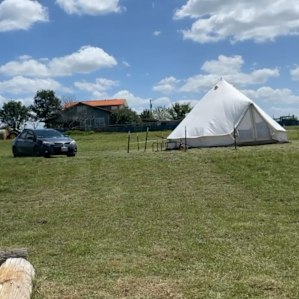 Picnic