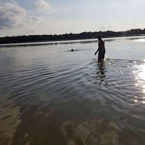 Dog beach at nearby state park. The water was warm and clear. About a foot deep pretty far out with a sandy bottom so even my older dog enjoyed water fetch.