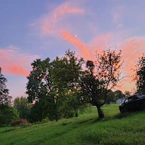 Songdog Meadows