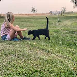 A visit by the sweetest little barn cat!