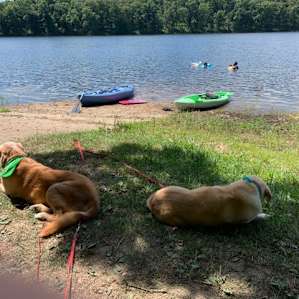 Beautiful lake, a must camp