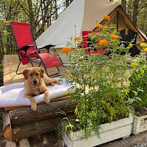 My dog just loved the place . Highly recommended for people with pets .. lots of space for walks and for them to enjoy.