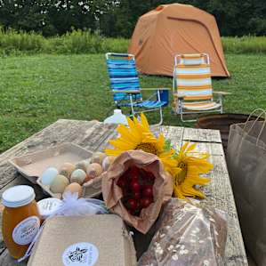 Wild Rose at Stony Rose Farms