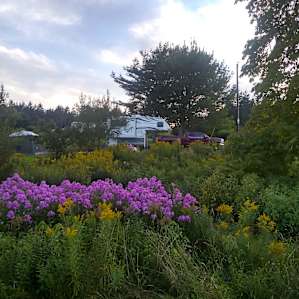 Blueberry Run Trail RV Site